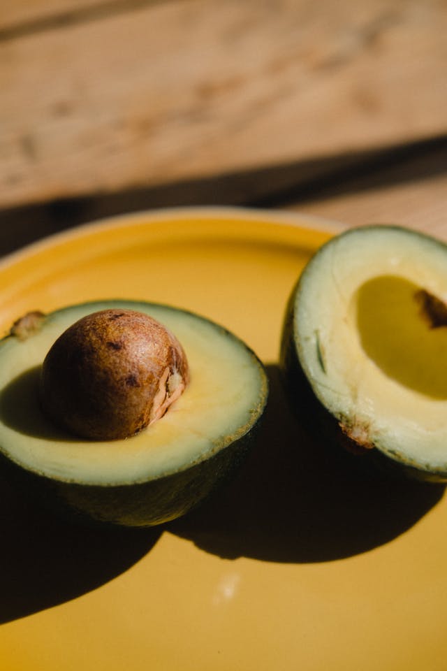 Levandorvia processus